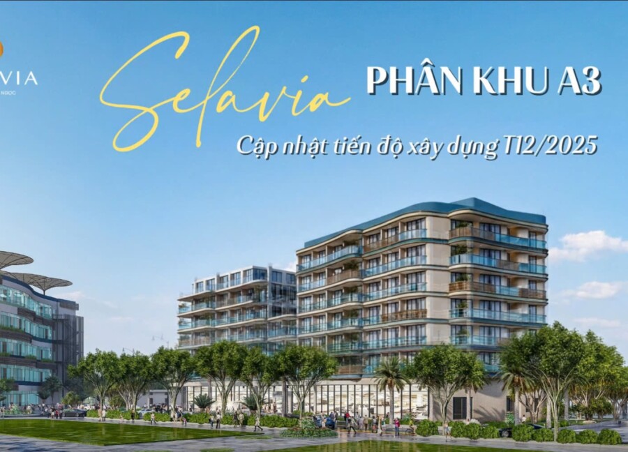 TIẾN ĐỘ BỨT PHÁ THÁNG 12 | THI CÔNG NHỘN NHỊP KHU A3.2 – SELAVIA