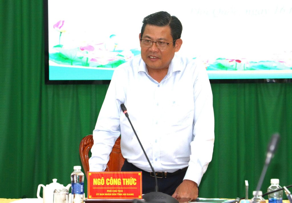 Phó Chủ tịch UBND tỉnh Ngô Công Thức phát biểu kết luận tại cuộc họp